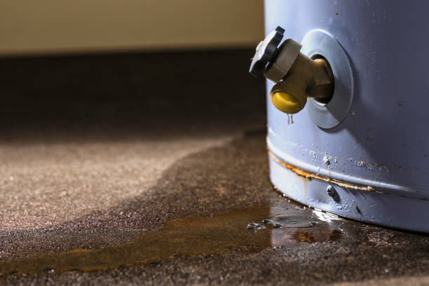 Best Water damage contractors near me  in Old Jefferson, LA