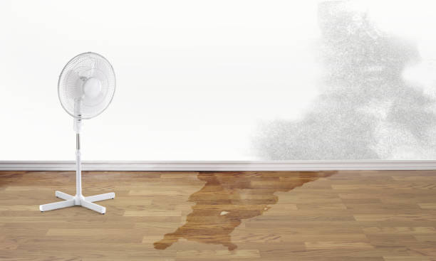 Best 24/7 water damage repair  in Old Jefferson, LA