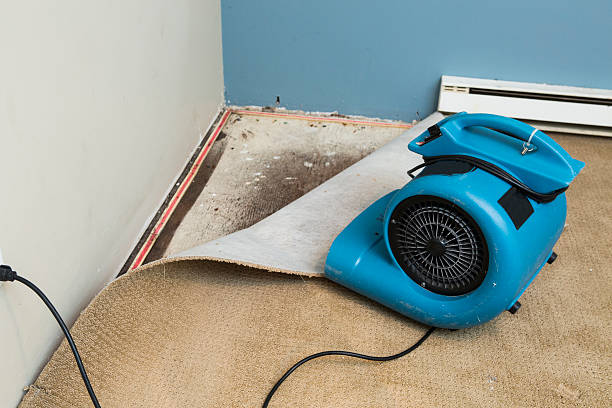Best Flood damage cleanup  in Old Jefferson, LA